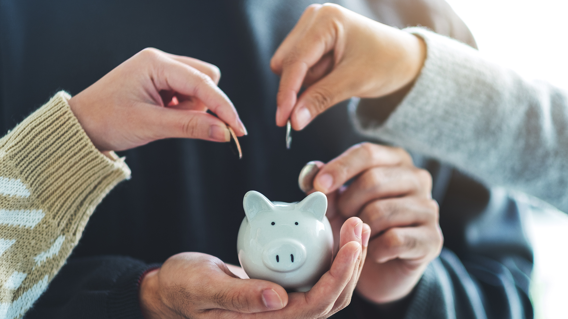 Image of a Piggy bank