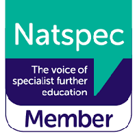 Natspec logo